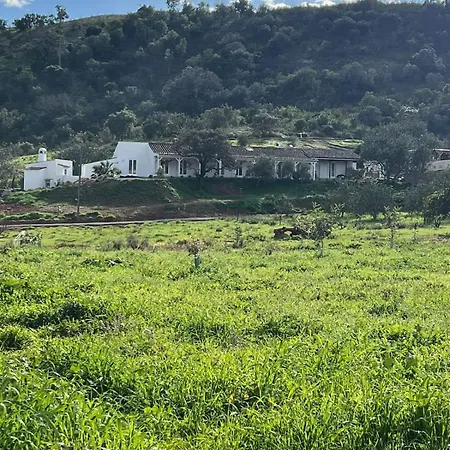 Cova Do Coracao Corte Vidreiro